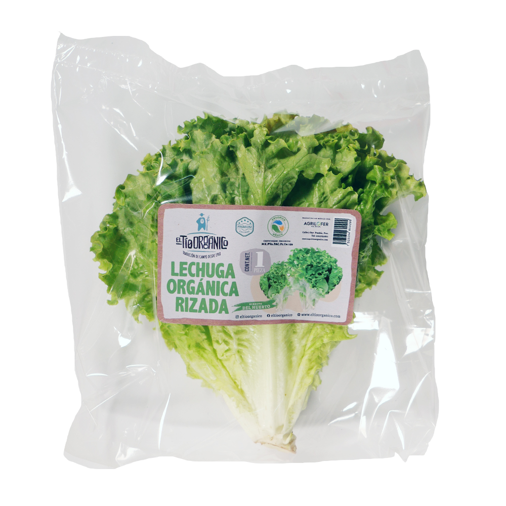 Lechuga verde rizada pieza