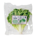 Lechuga verde rizada pieza