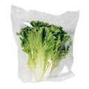 Lechuga verde rizada pieza