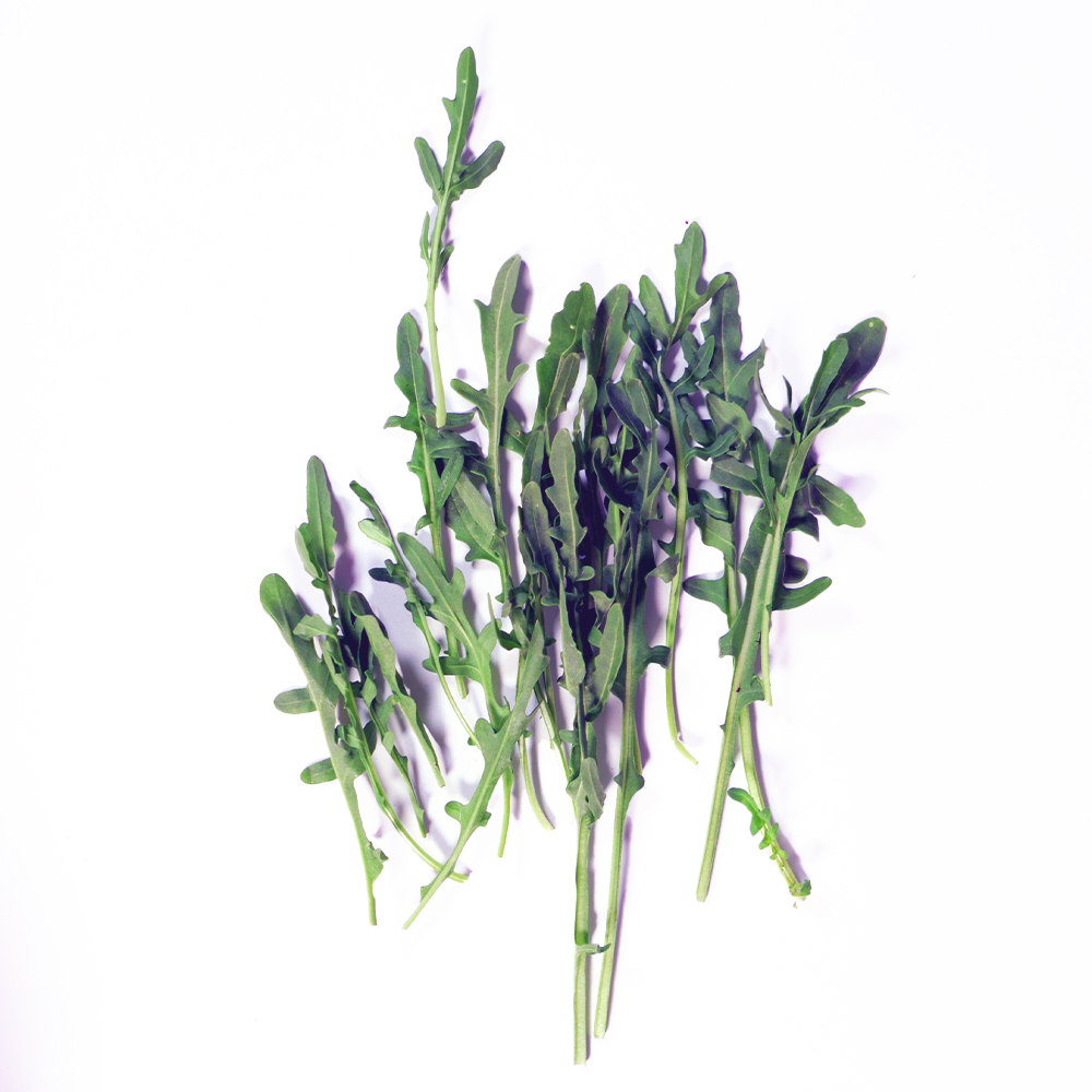 Arugula bolsa 120 gr