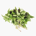 Albahaca 100 gr