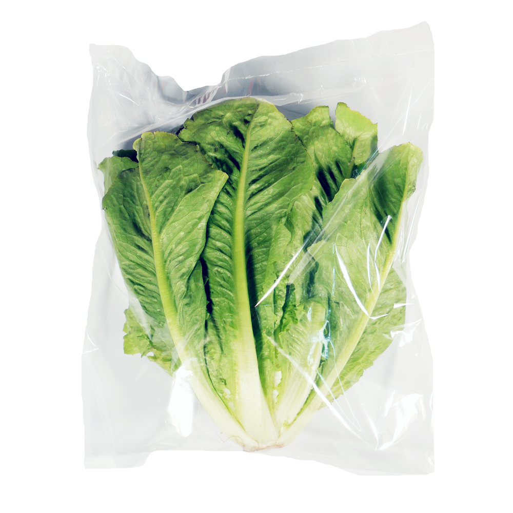 Lechuga orejona pieza