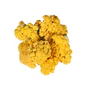 Coliflor Amarilla bolsa 454 gr