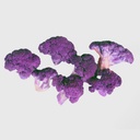 Coliflor Morada bolsa 454 gr