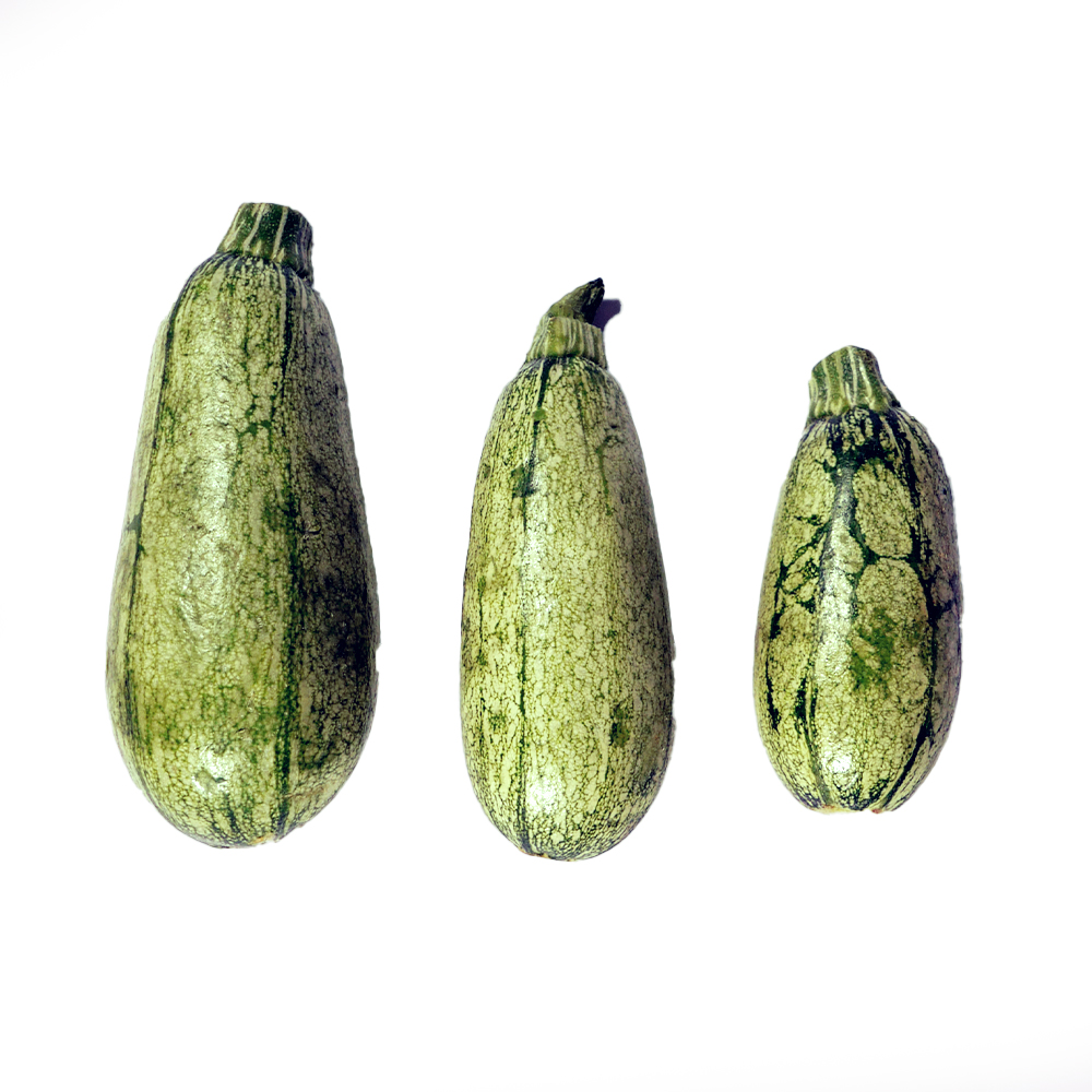 CALABAZA LARGA VERDE O ZUKINI