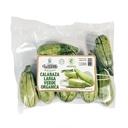 CALABAZA LARGA VERDE O ZUKINI