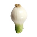 Cebolla blanca bolsa kilo