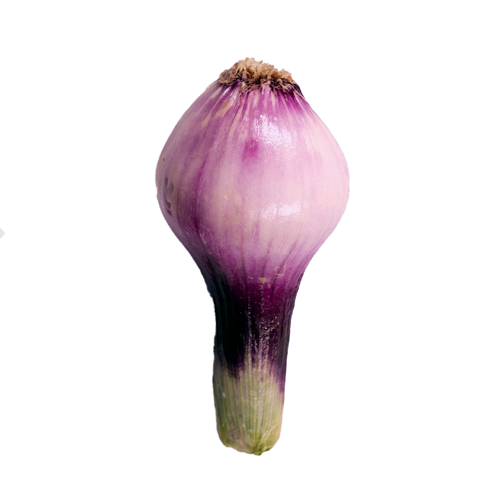 Cebolla morada bolsa de un kilo