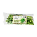 Cilantro Bolsa 100 gr