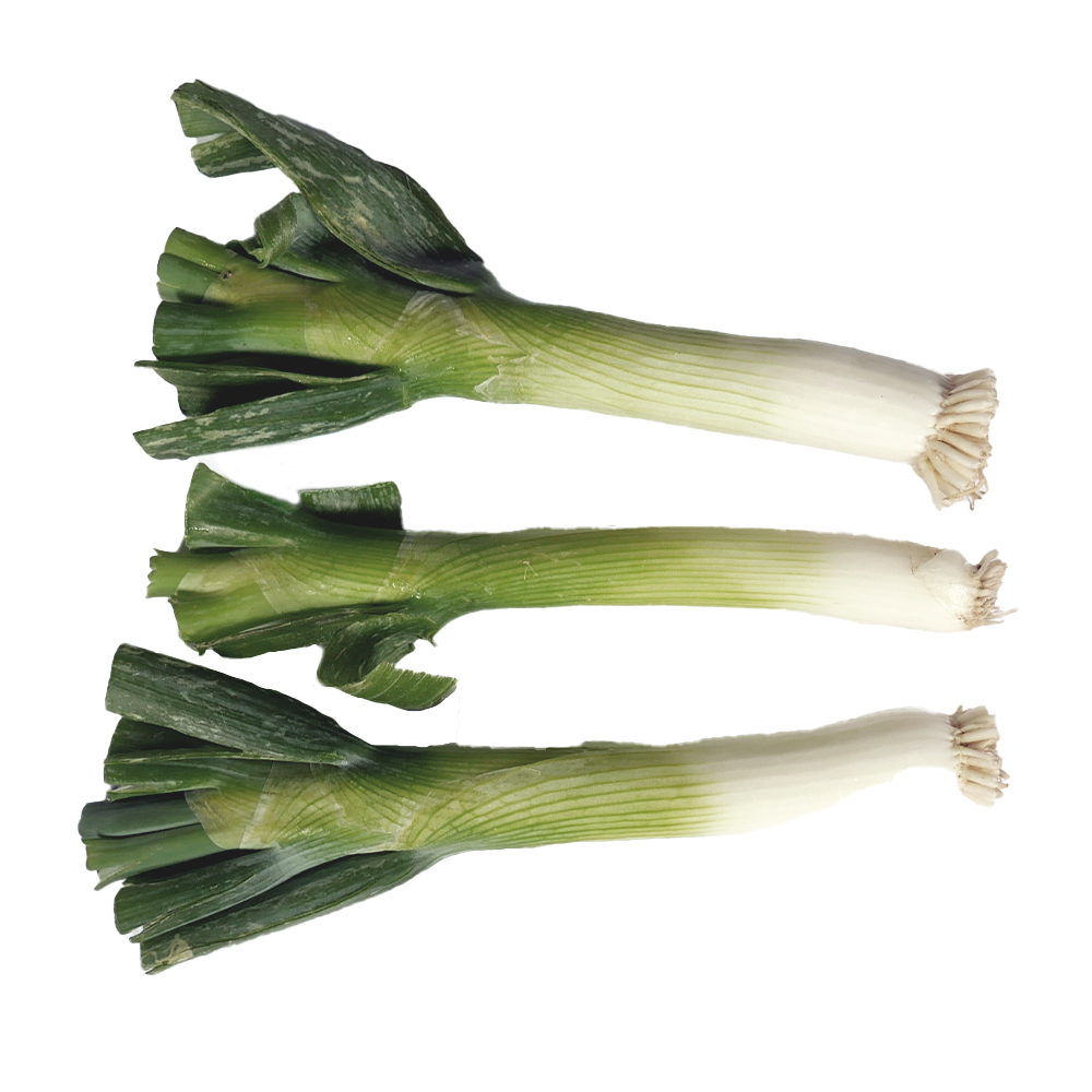 CEBOLLIN 100g