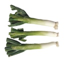 CEBOLLIN 100g