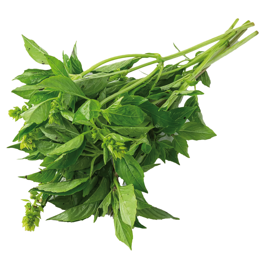 Albahaca 100 gr