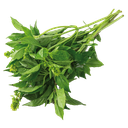Albahaca 100 gr