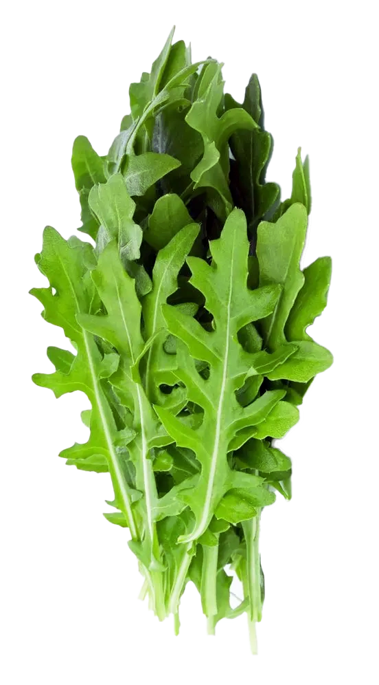 Arugula bolsa 120 gr