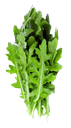 Arugula bolsa 120 gr