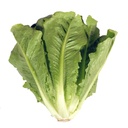 Lechuga orejona pieza