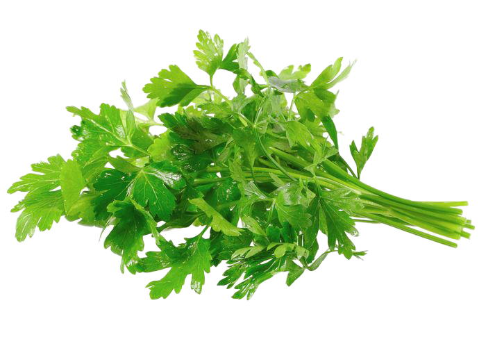 Perejil 100 gr