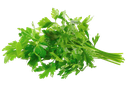 Perejil 100 gr