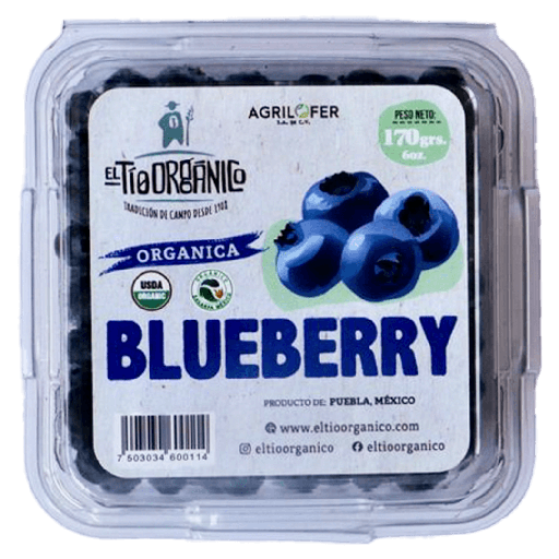 [BE-BLG-0170] DOMO BLUEBERRY