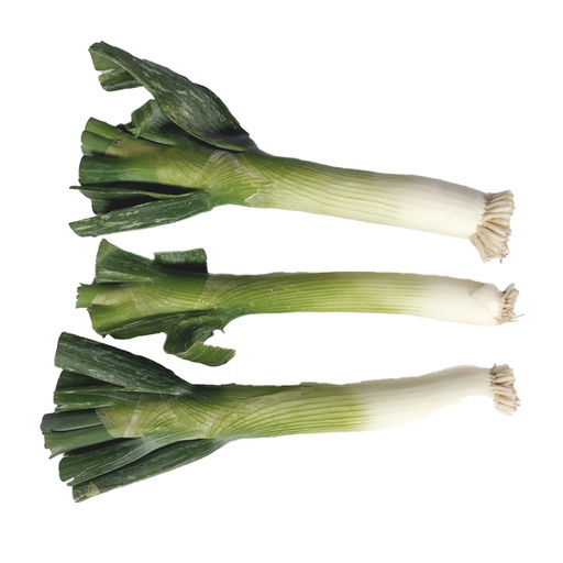 CEBOLLIN 100g