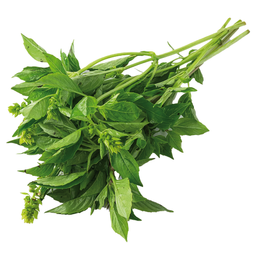Albahaca 100 gr