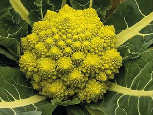 Romanesco bolsa de 500 gr