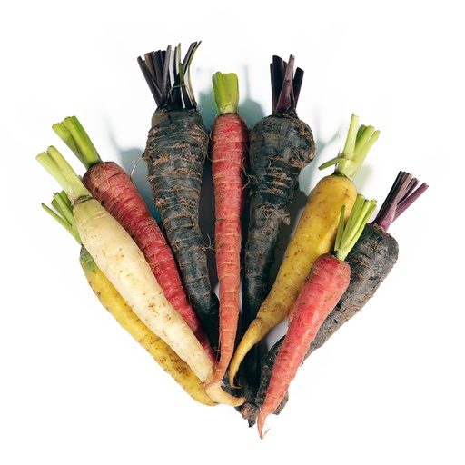 Zanahoria arcoiris bolsa 500 gr