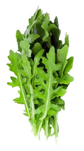 Arugula bolsa 120 gr